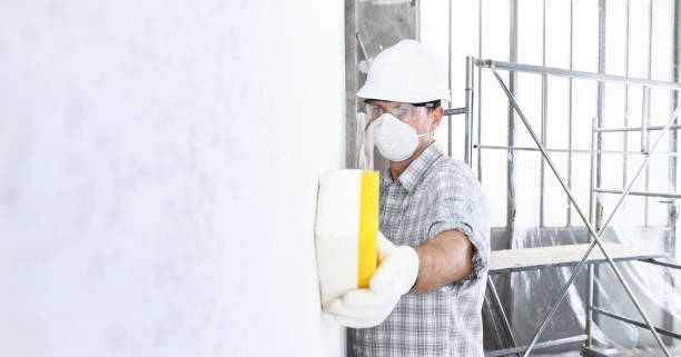 Why You Should Choose Our Mold Remediation Services in Oroville, CA